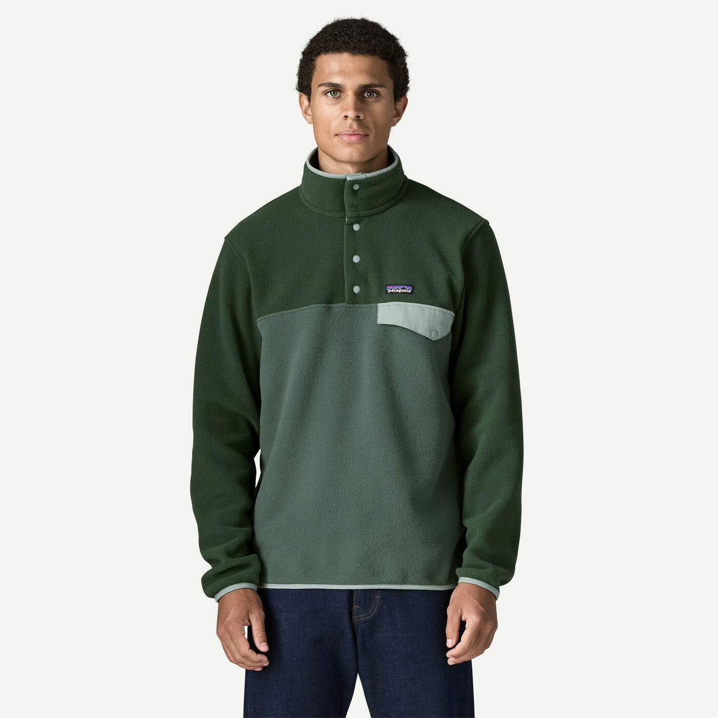 Patagonia M's LW Synch Snap-T Pullover Men Canopy Green