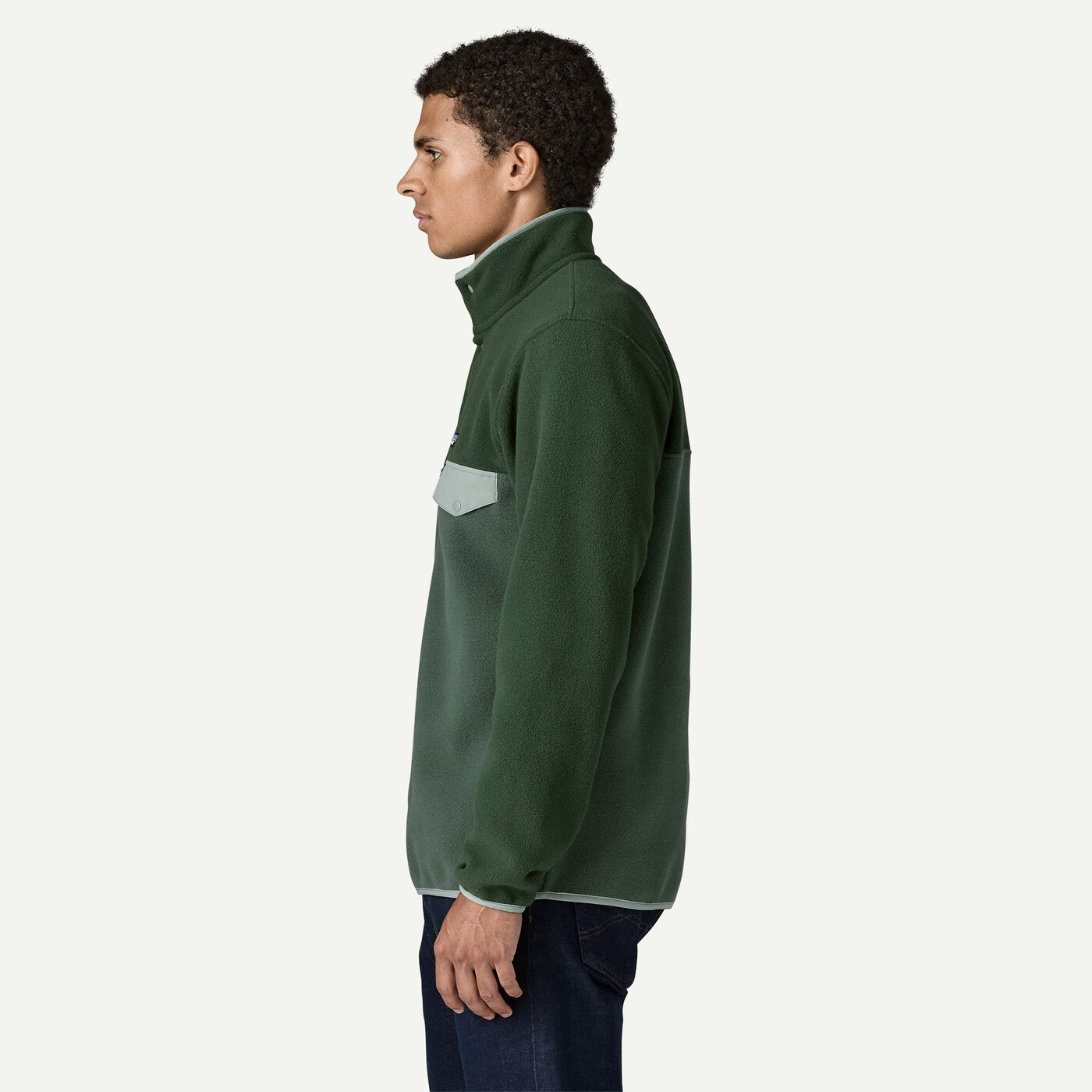 Patagonia M's LW Synch Snap-T Pullover Men Canopy Green