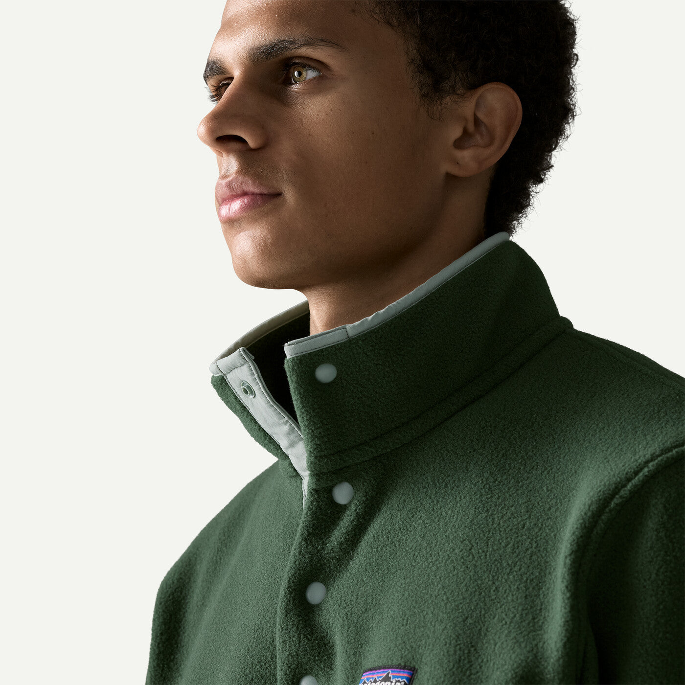 Patagonia M's LW Synch Snap-T Pullover Men Canopy Green