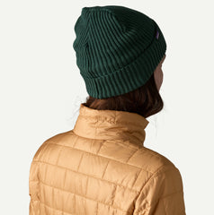 Patagonia Fishermans Rolled Beanie Cascade Green
